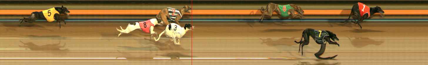 Photo finish for Ballarat Race 13
