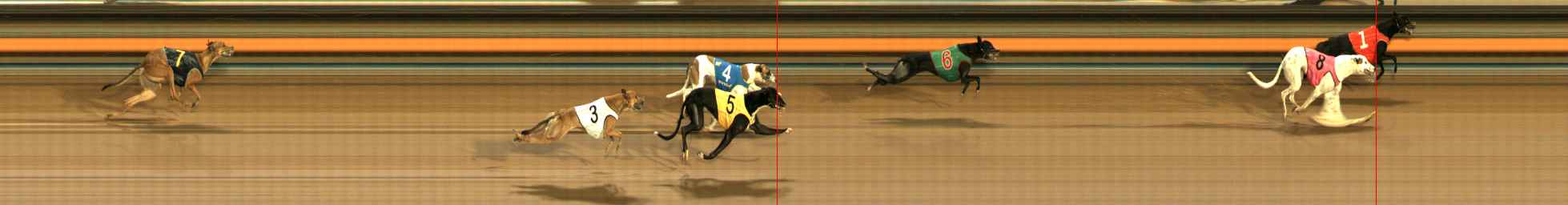 Photo finish for Ballarat Race 5