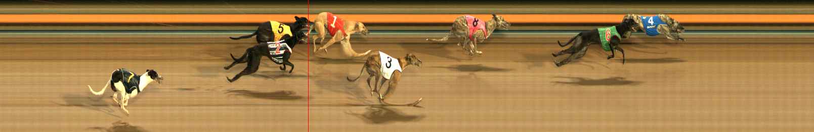 Photo finish for Ballarat Race 6