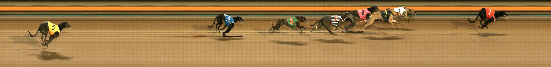 Photo finish for Ballarat Race 8