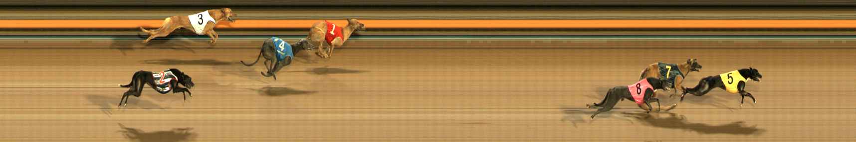 Photo finish for Ballarat Race 9