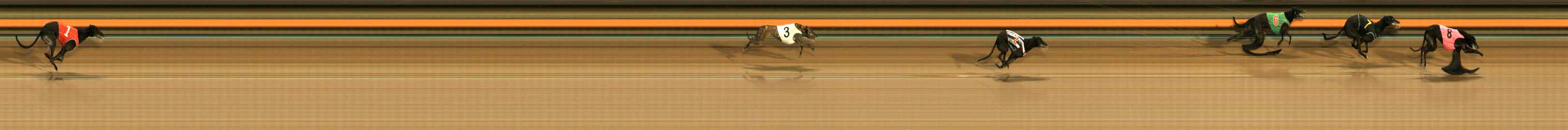 Photo finish for Ballarat Race 10