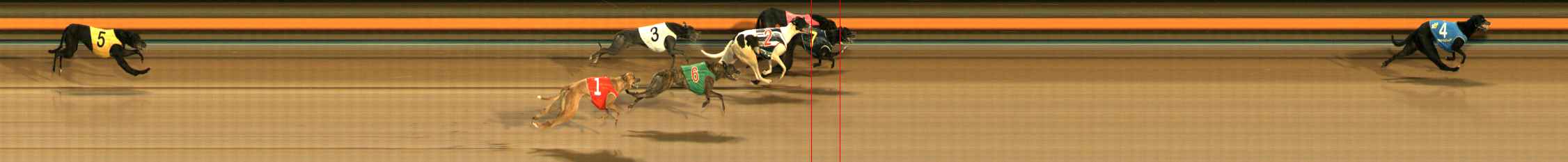 Photo finish for Ballarat Race 12