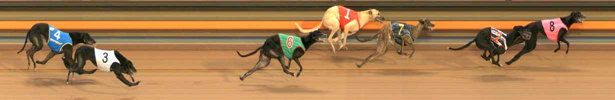 Photo finish for Ballarat Race 1