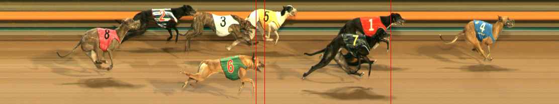Photo finish for Ballarat Race 5