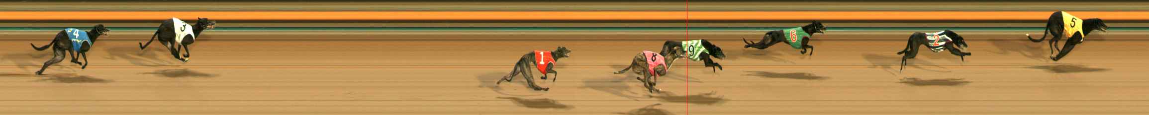 Photo finish for Ballarat Race 10