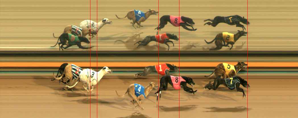 Photo finish for Ballarat Race 12