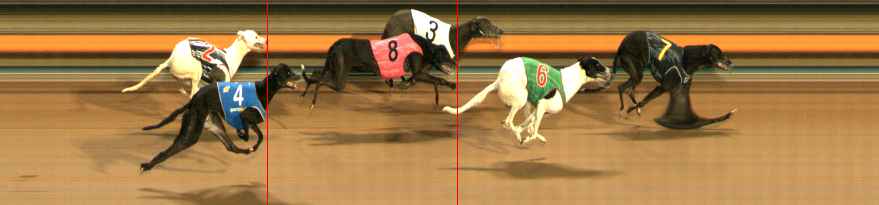 Photo finish for Ballarat Race 2
