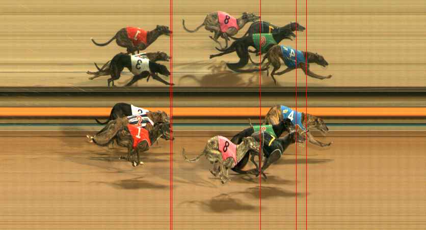 Photo finish for Ballarat Race 6