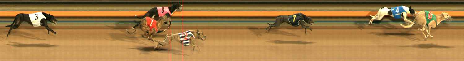 Photo finish for Ballarat Race 8