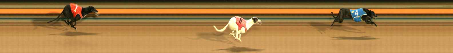 Photo finish for Ballarat Race 9