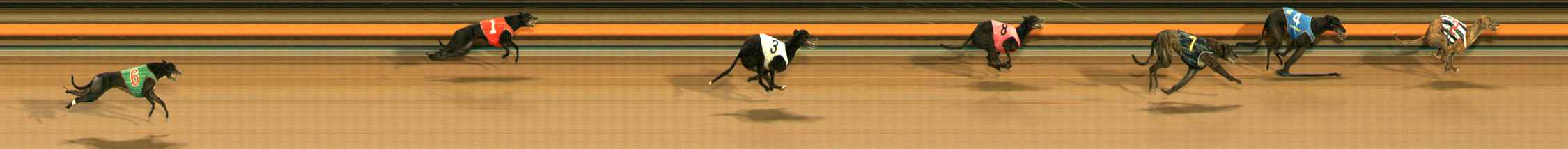 Photo finish for Ballarat Race 10