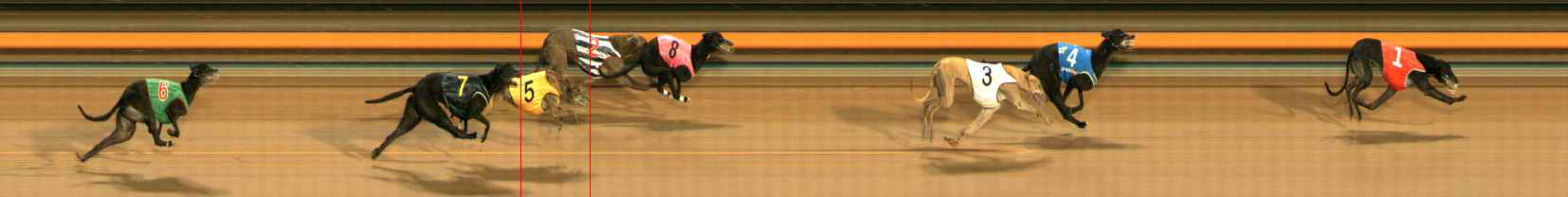Photo finish for Ballarat Race 11