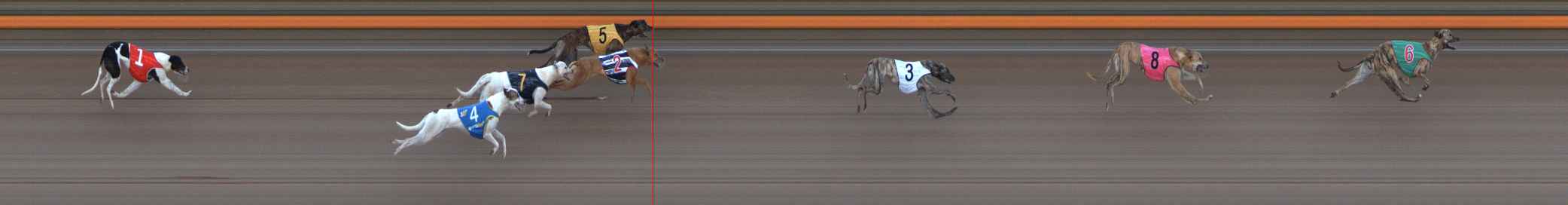 Photo finish for Ballarat Race 1