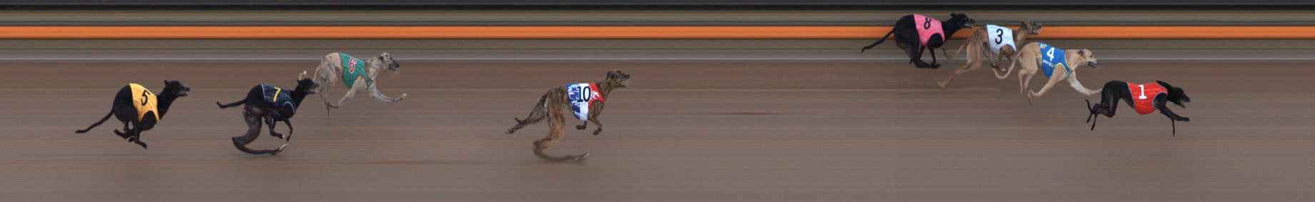 Photo finish for Ballarat Race 2
