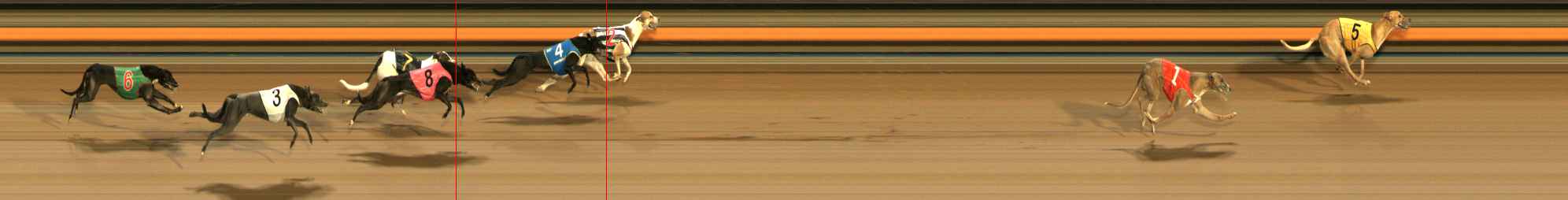 Photo finish for Ballarat Race 4