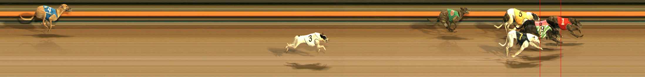 Photo finish for Ballarat Race 5