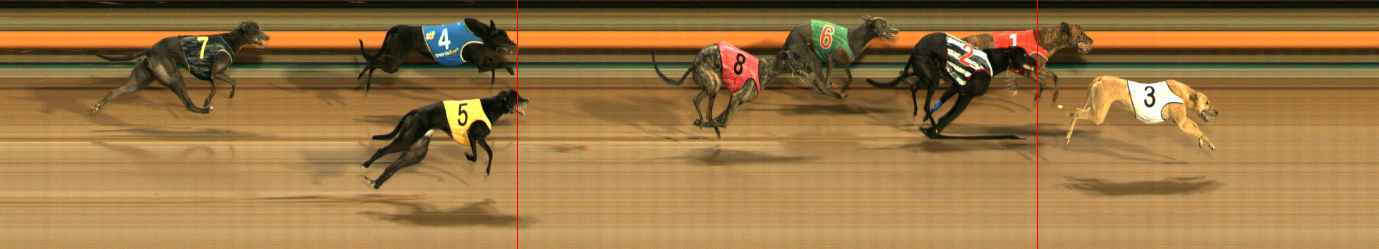 Photo finish for Ballarat Race 8