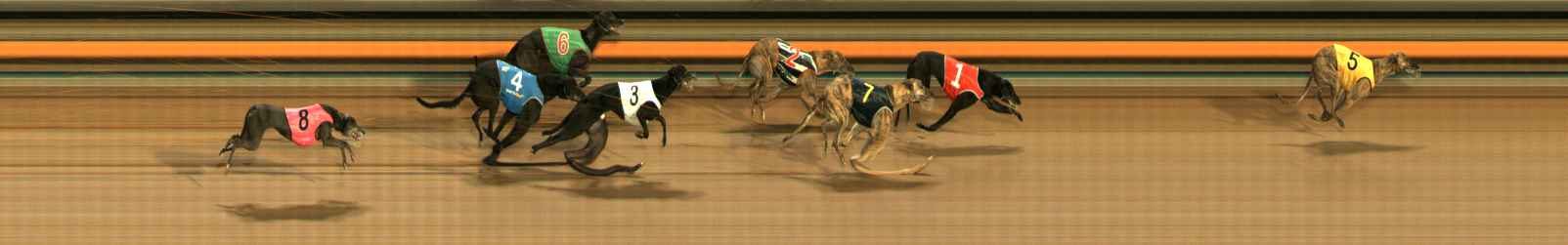 Photo finish for Ballarat Race 9