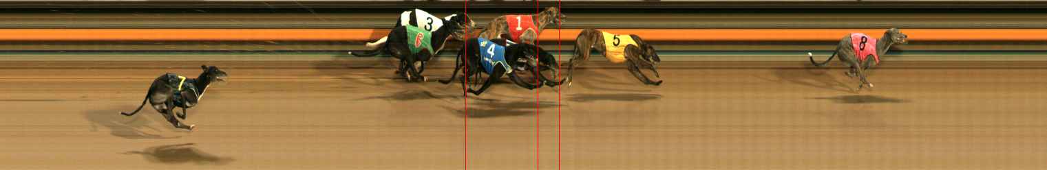 Photo finish for Ballarat Race 11