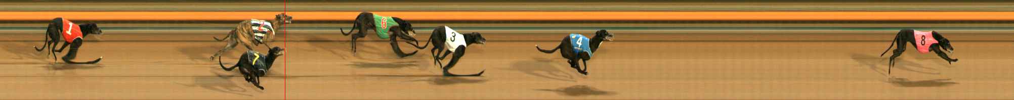 Photo finish for Ballarat Race 3