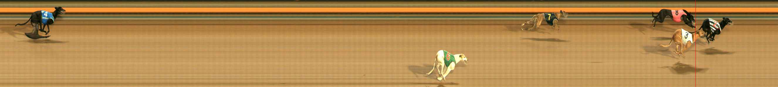 Photo finish for Ballarat Race 5