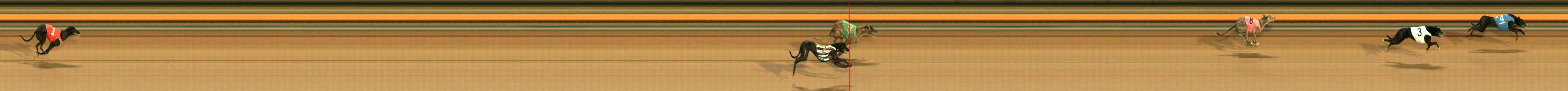 Photo finish for Ballarat Race 7