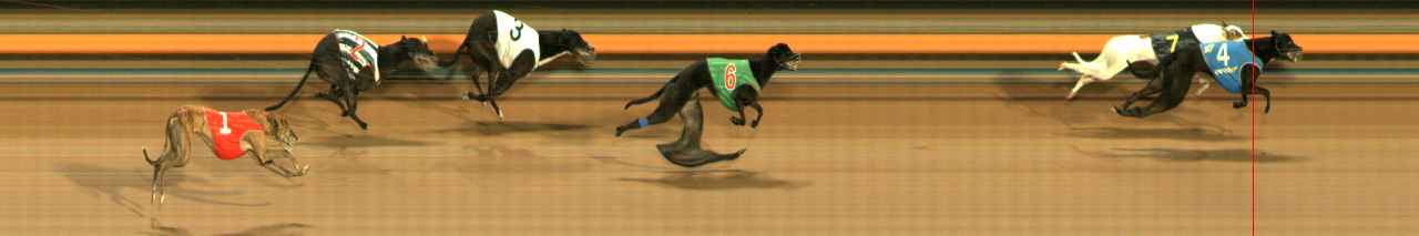 Photo finish for Ballarat Race 8