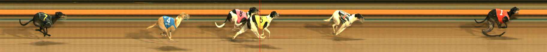 Photo finish for Ballarat Race 12