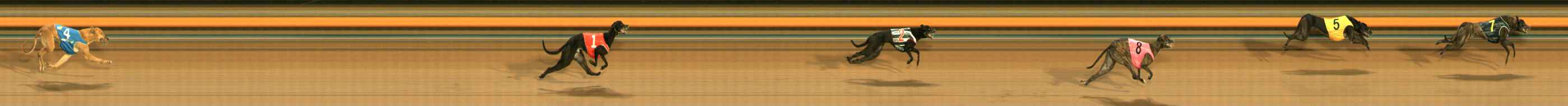 Photo finish for Ballarat Race 13