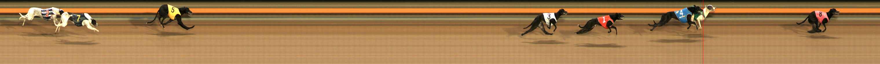 Photo finish for Ballarat Race 1