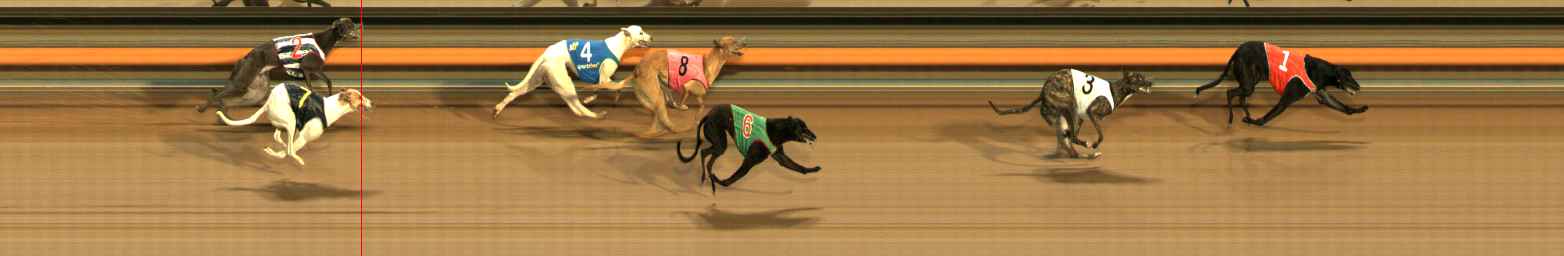 Photo finish for Ballarat Race 2