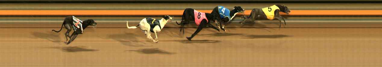 Photo finish for Ballarat Race 6