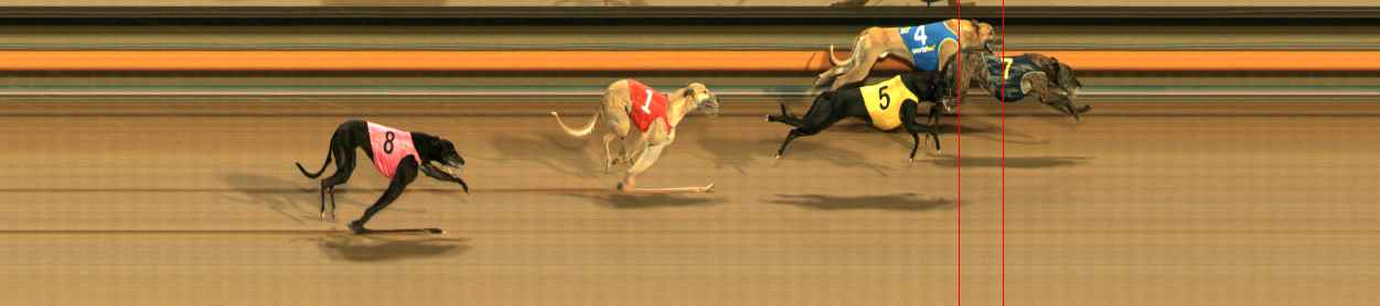 Photo finish for Ballarat Race 10