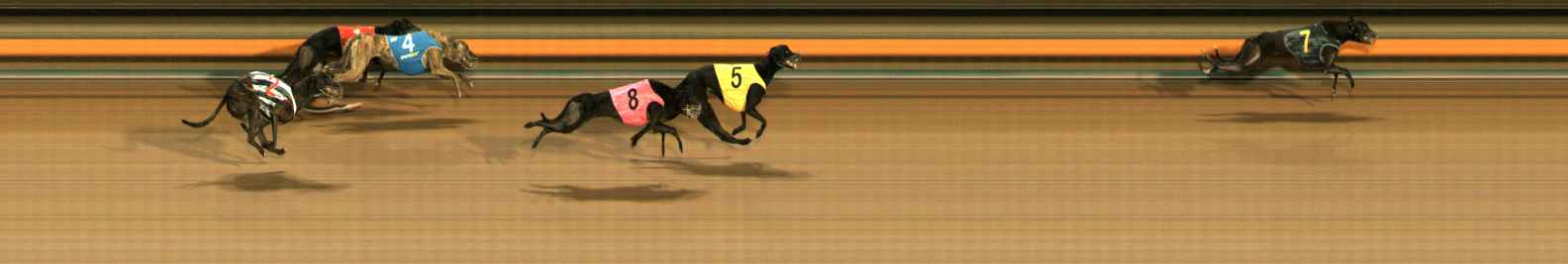 Photo finish for Ballarat Race 11
