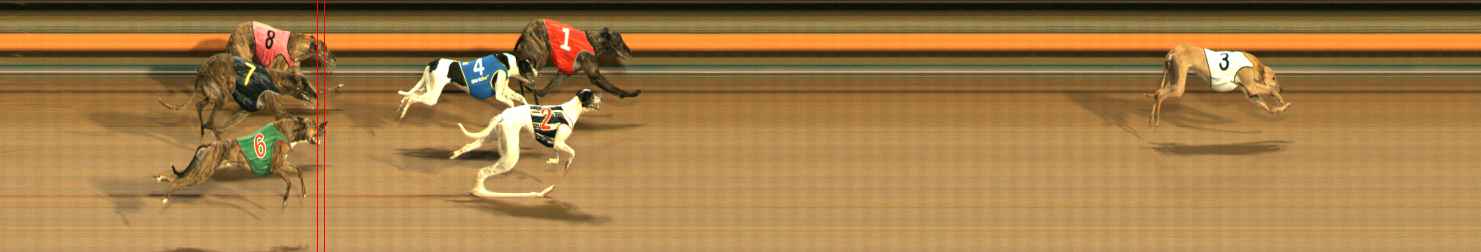 Photo finish for Ballarat Race 12