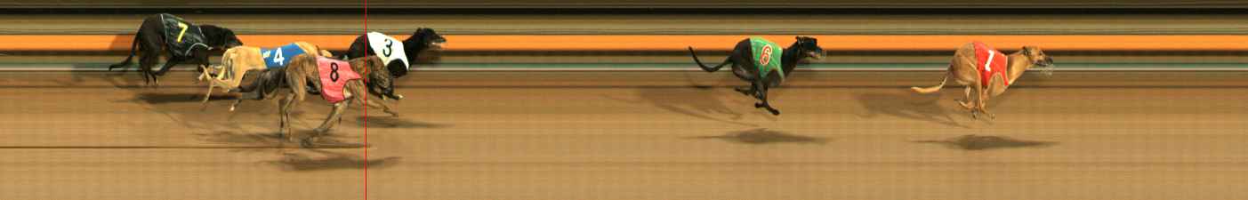 Photo finish for Ballarat Race 13