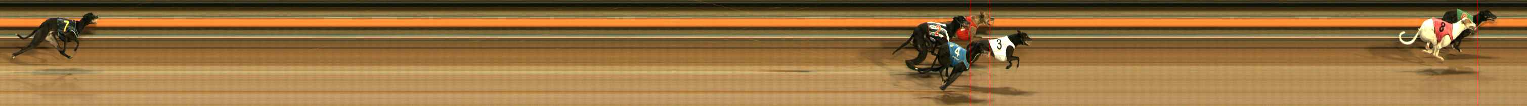 Photo finish for Ballarat Race 6