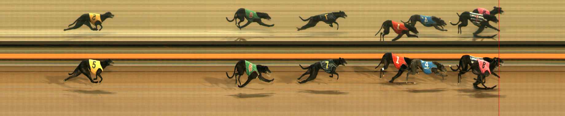 Photo finish for Ballarat Race 13