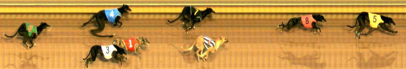 Photo finish for Bendigo Race 9