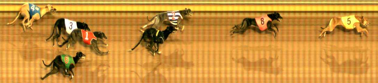 Photo finish for Bendigo Race 11