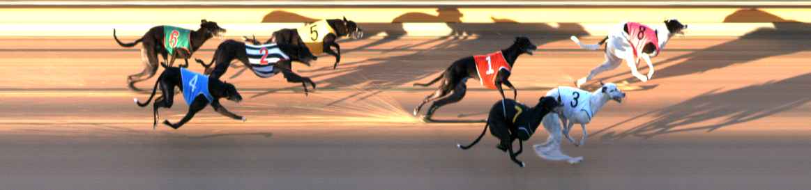 Photo finish for Bendigo Race 8