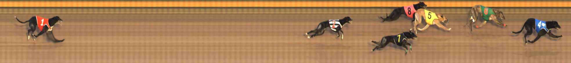 Photo finish for Bendigo Race 10