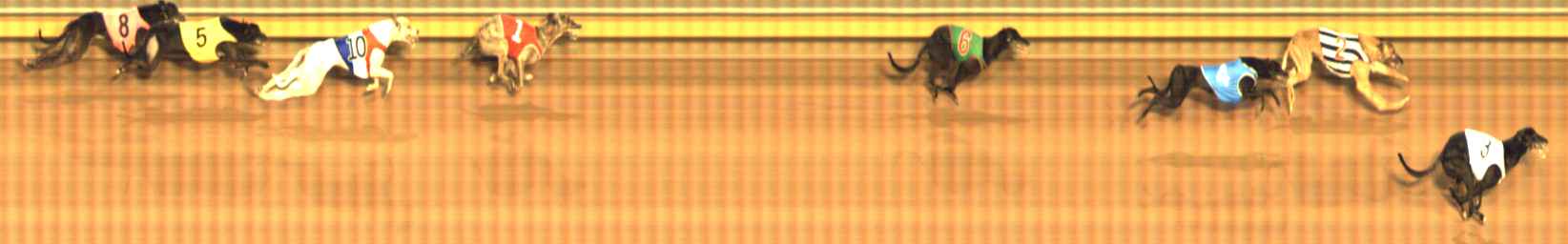 Photo finish for Bendigo Race 12