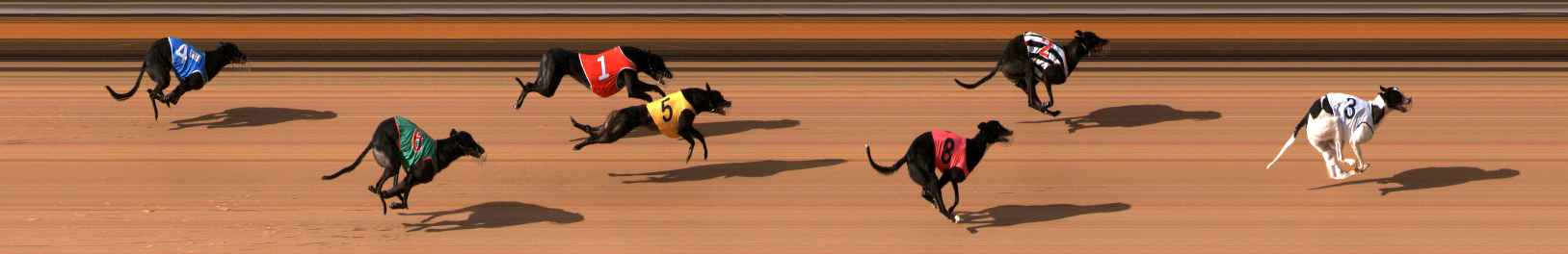 Photo finish for Bendigo Race 3