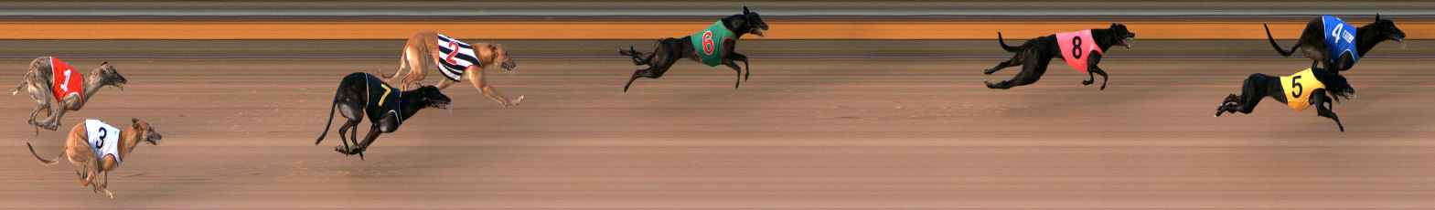 Photo finish for Bendigo Race 7