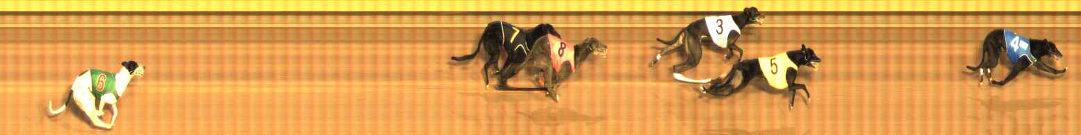 Photo finish for Bendigo Race 12