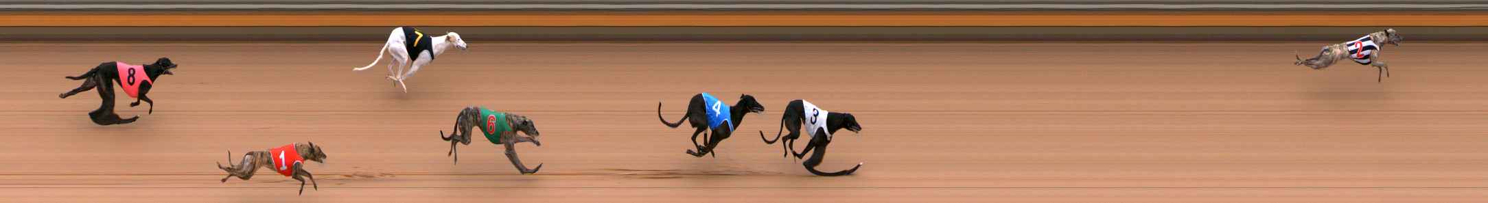 Photo finish for Bendigo Race 2
