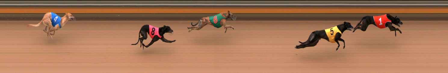 Photo finish for Bendigo Race 3