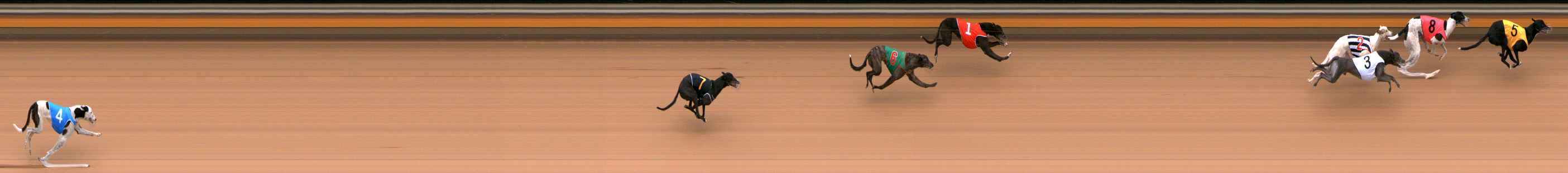 Photo finish for Bendigo Race 4